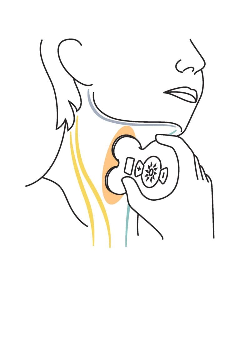 Find your vagus nerve