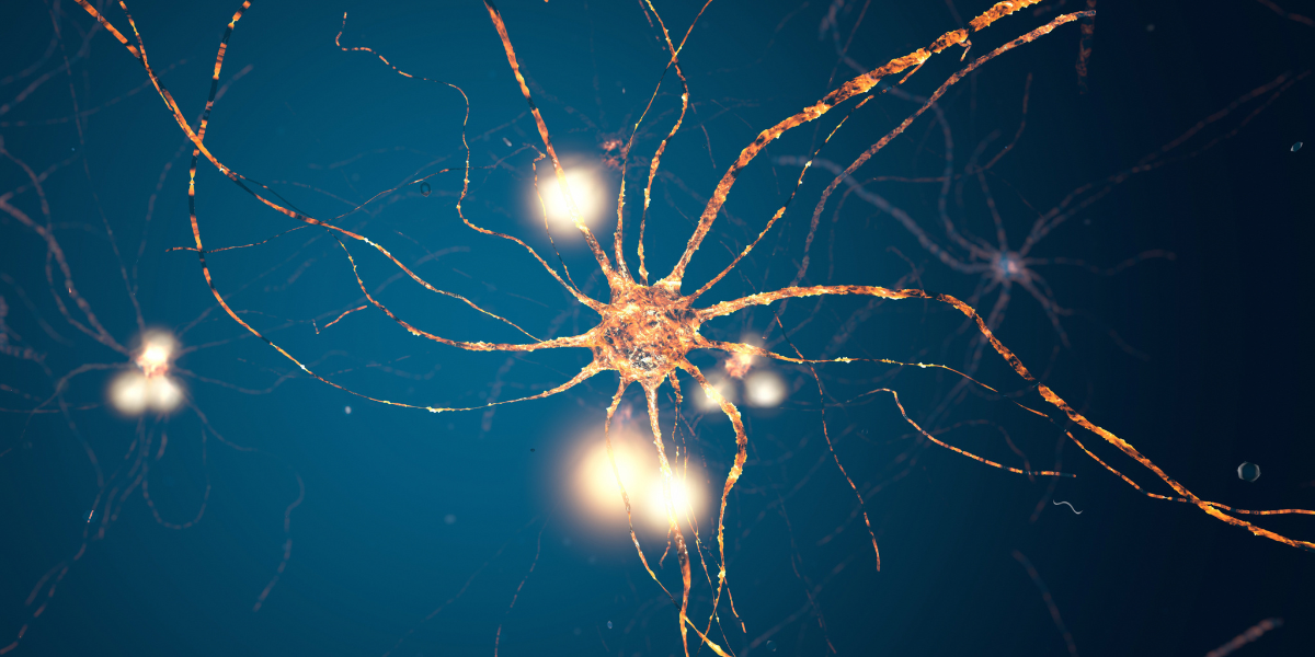 Does Vagus Nerve Stimulation Work?