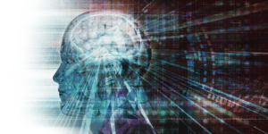 Biohacking for Beginners: How to Improve Healthspan, Reduce Inflammation, and Support the Vagus Nerve