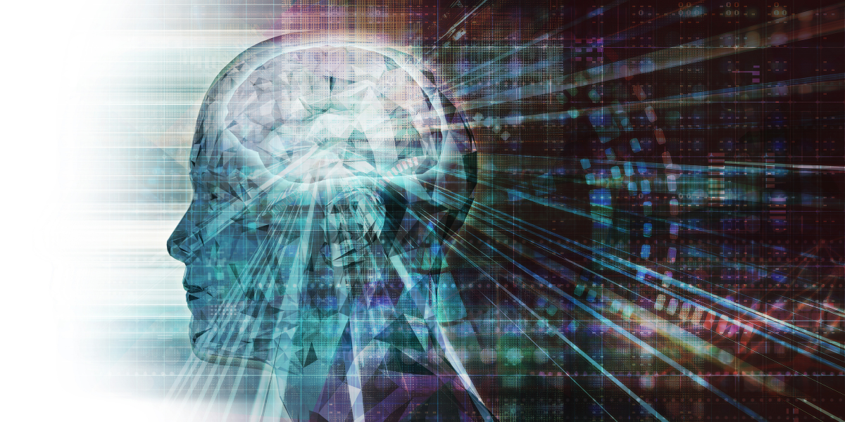 Biohacking for Beginners: How to Improve Healthspan, Reduce Inflammation, and Support the Vagus Nerve