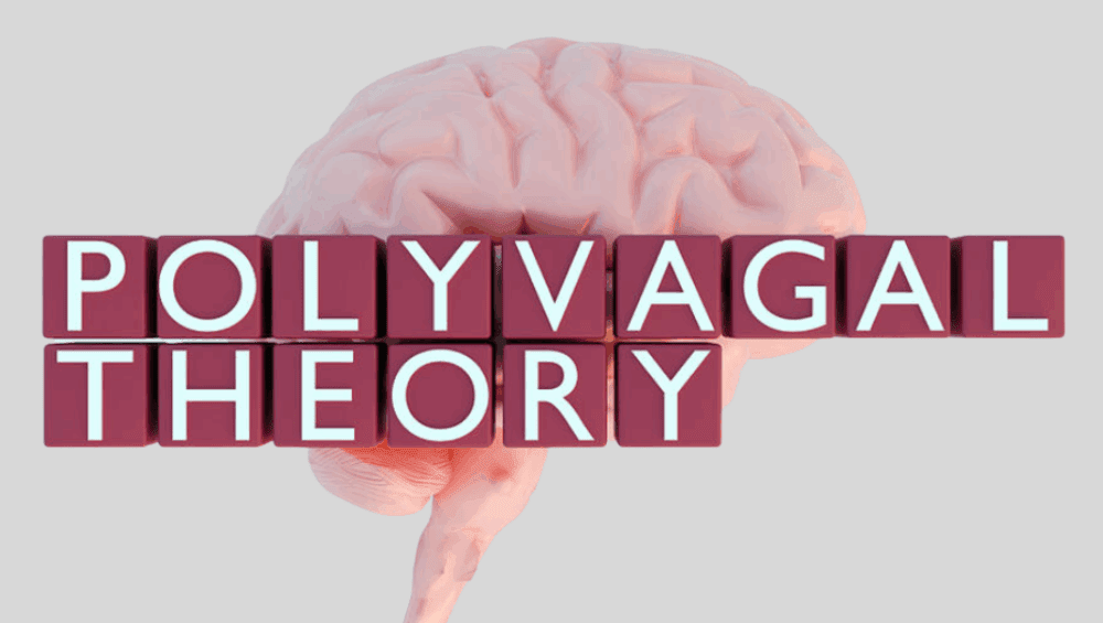 How to Reset with Polyvagal Theory