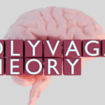How to Reset with Polyvagal Theory