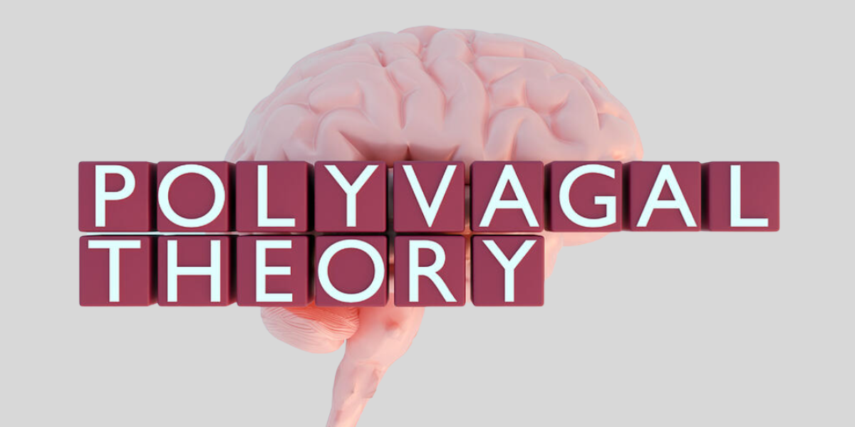How to Reset with Polyvagal Theory