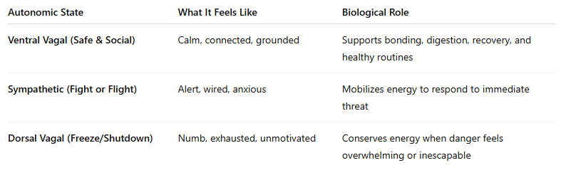 Understanding Polyvagal Theory