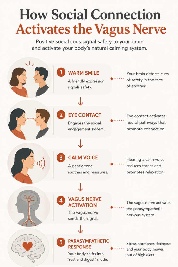 How Social Connection Strengthens Vagal Tone