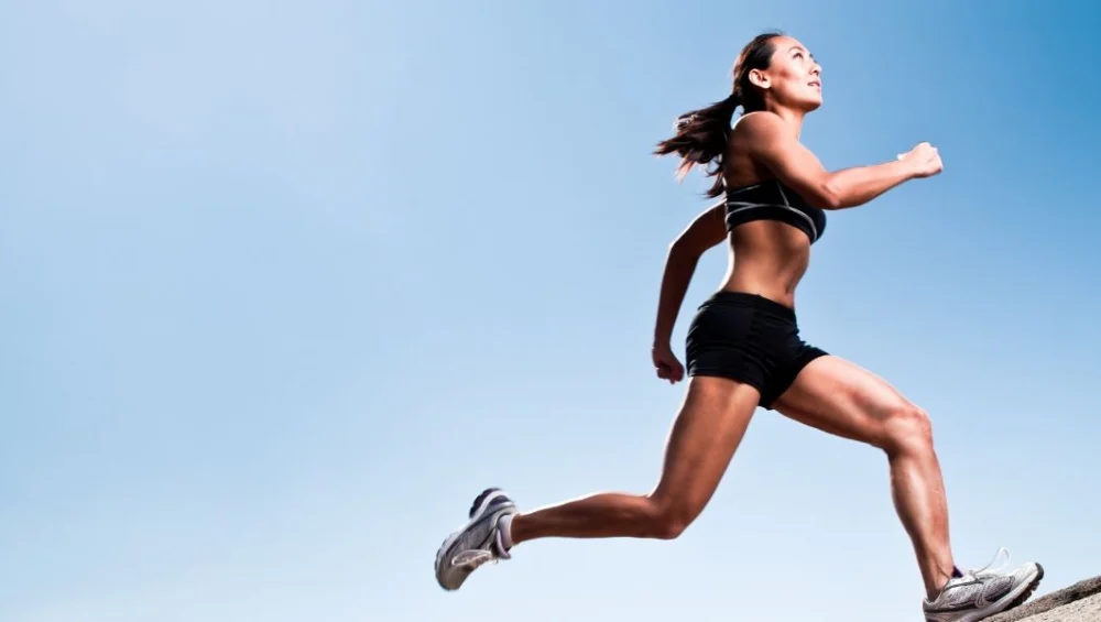 The Vagus Nerve The Secret Behind Elite Performance