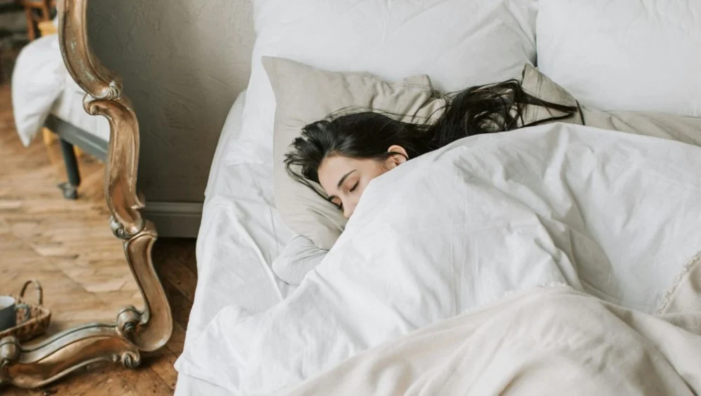 The Paradox of Sleep Why Trying Harder May Be the Very Thing Keeping You Awake